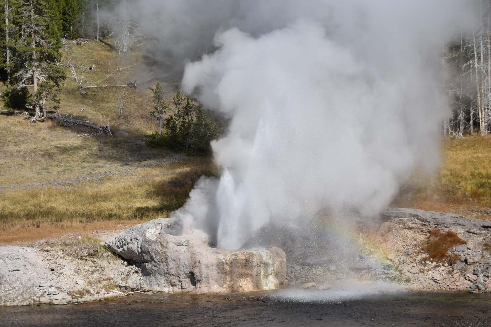 US160925 088 Yellowstone NP, WY