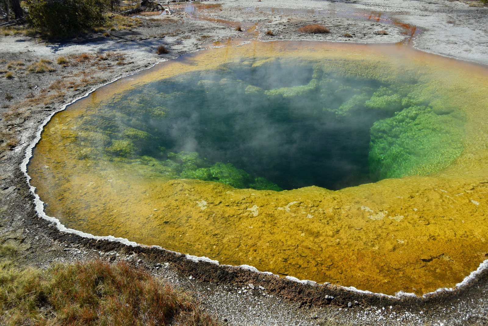 US160925 100 Yellowstone NP, WY