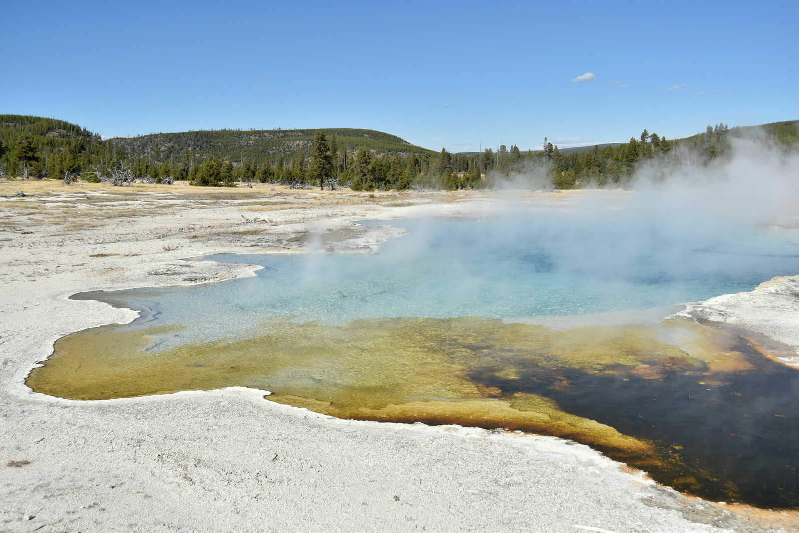 US160925 102 Yellowstone NP, WY