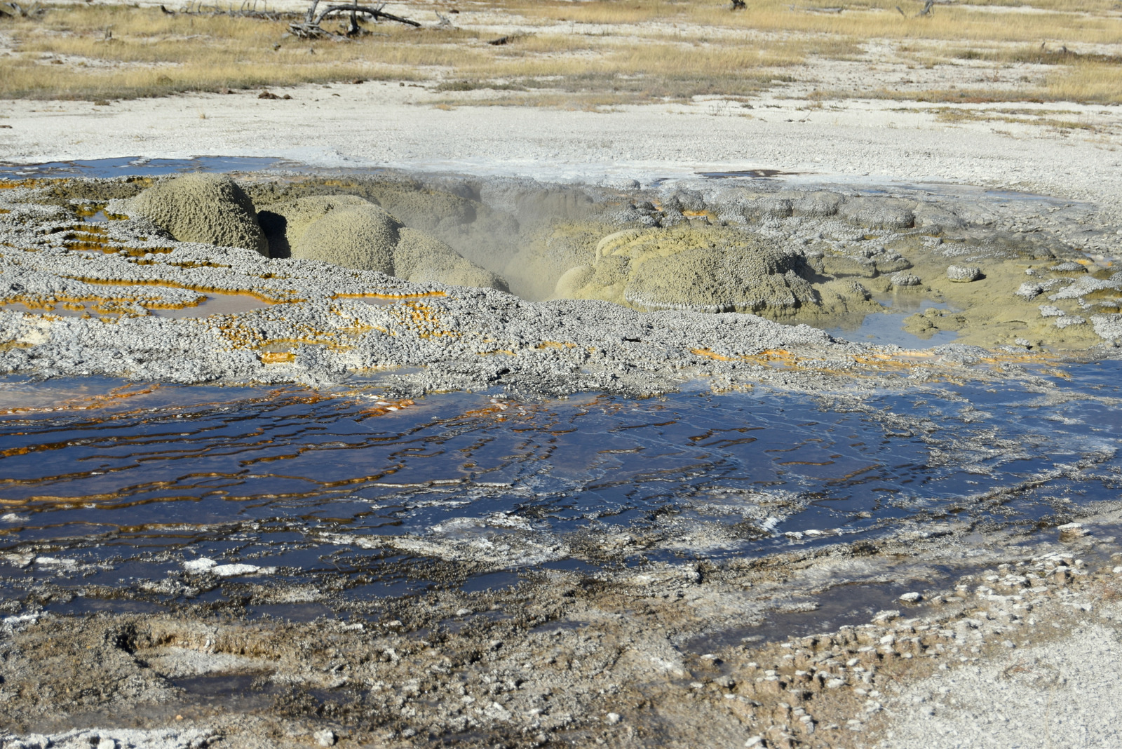 US160925 104 Yellowstone NP, WY