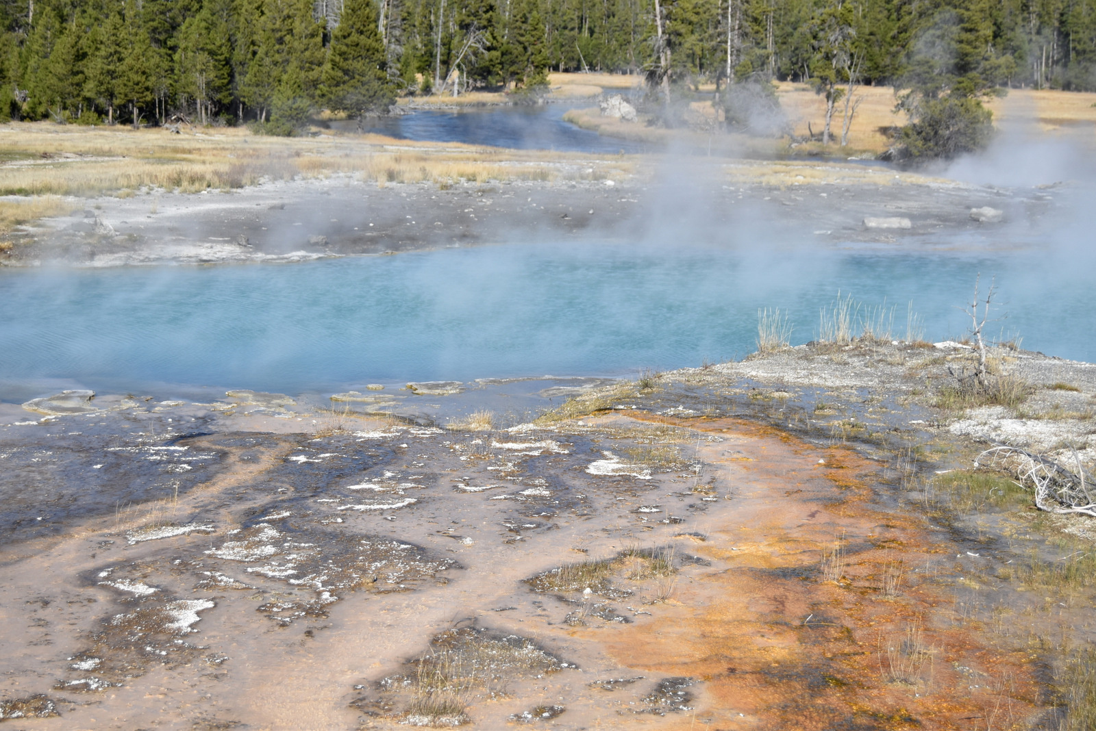 US160925 109 Yellowstone NP, WY