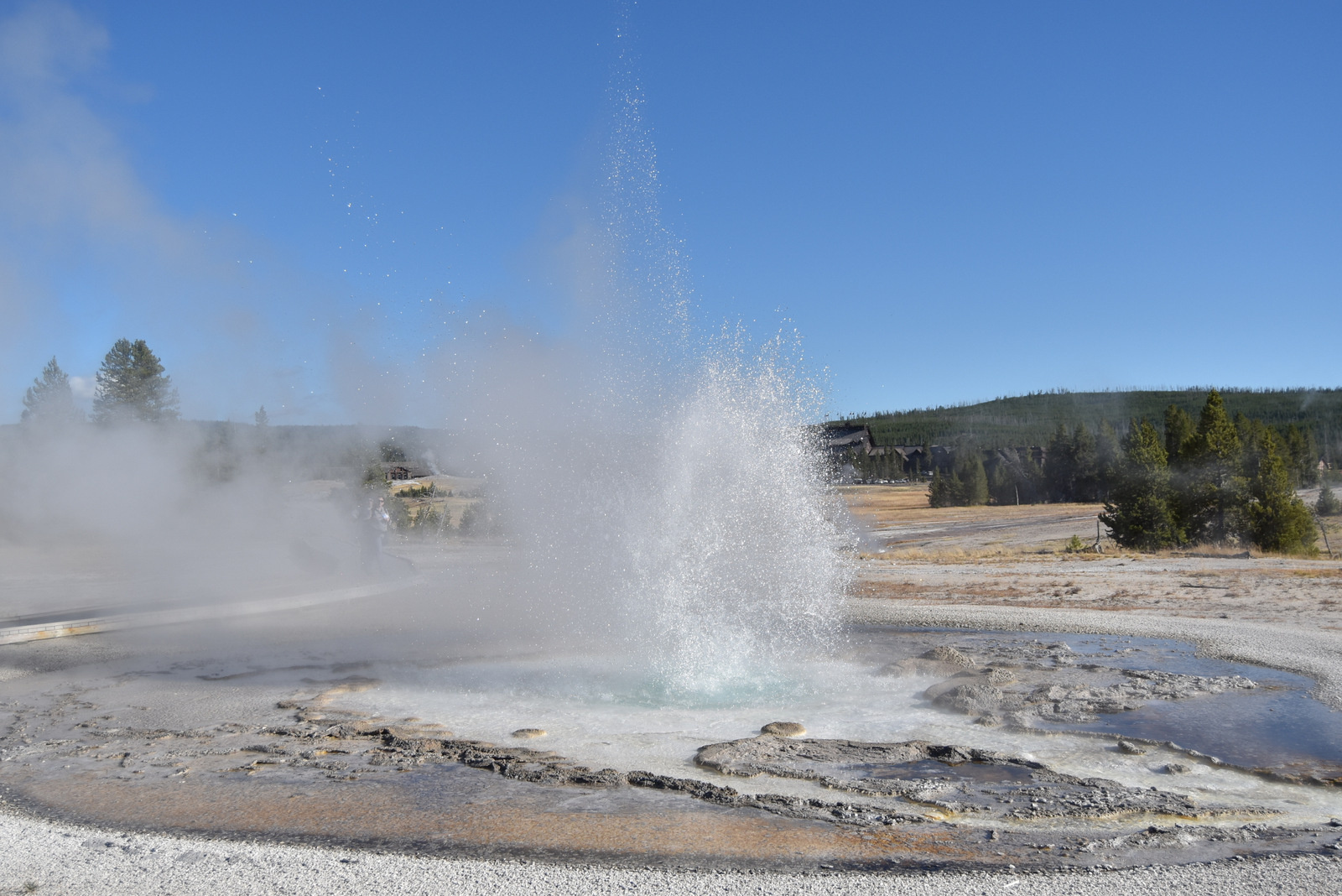 US160925 114 Yellowstone NP, WY