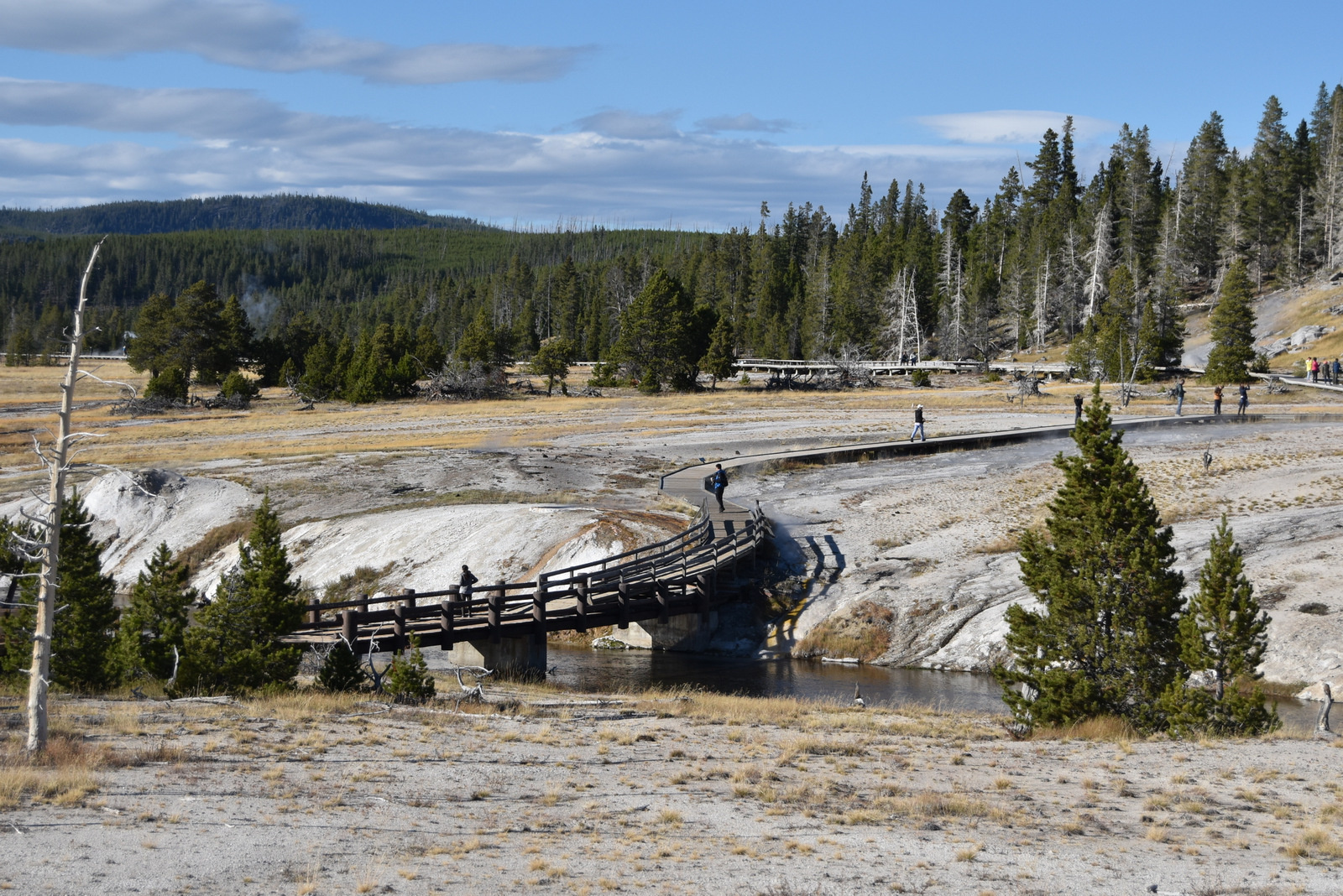 US160925 120 Yellowstone NP, WY