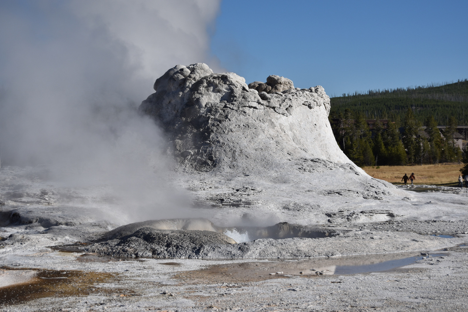 US160925 122 Yellowstone NP, WY