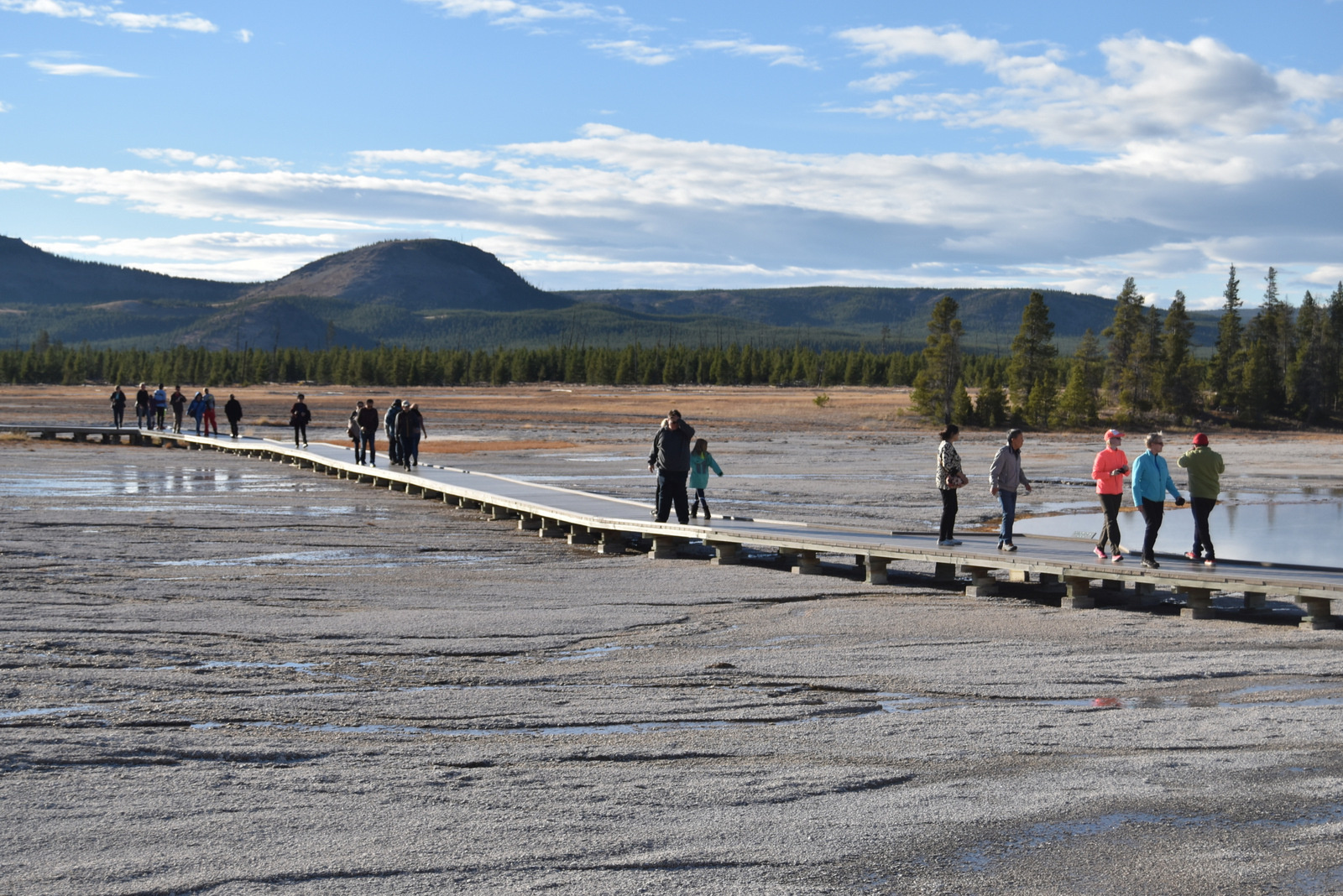 US160925 128 Yellowstone NP, WY