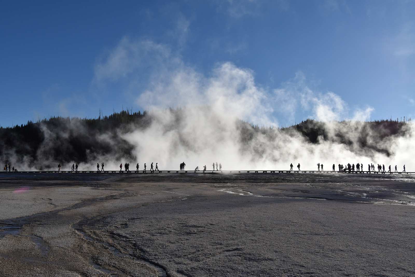 US160925 129 Yellowstone NP, WY