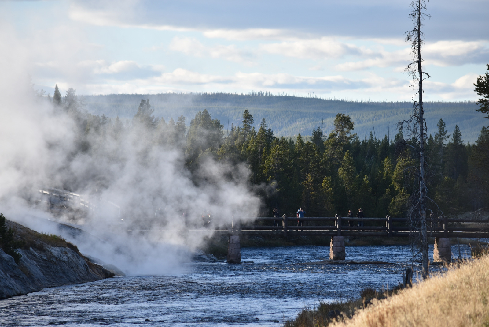 US160925 158 Yellowstone NP, WY