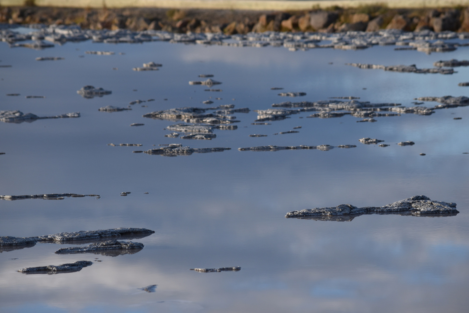 US160925 168 Yellowstone NP, WY