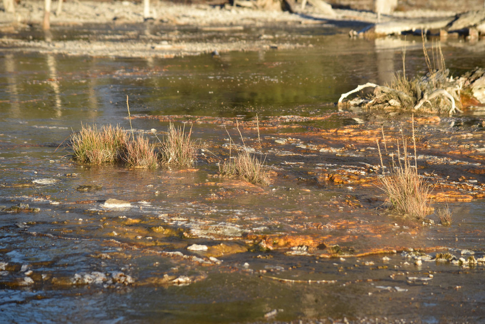 US160925 177 Yellowstone NP, WY