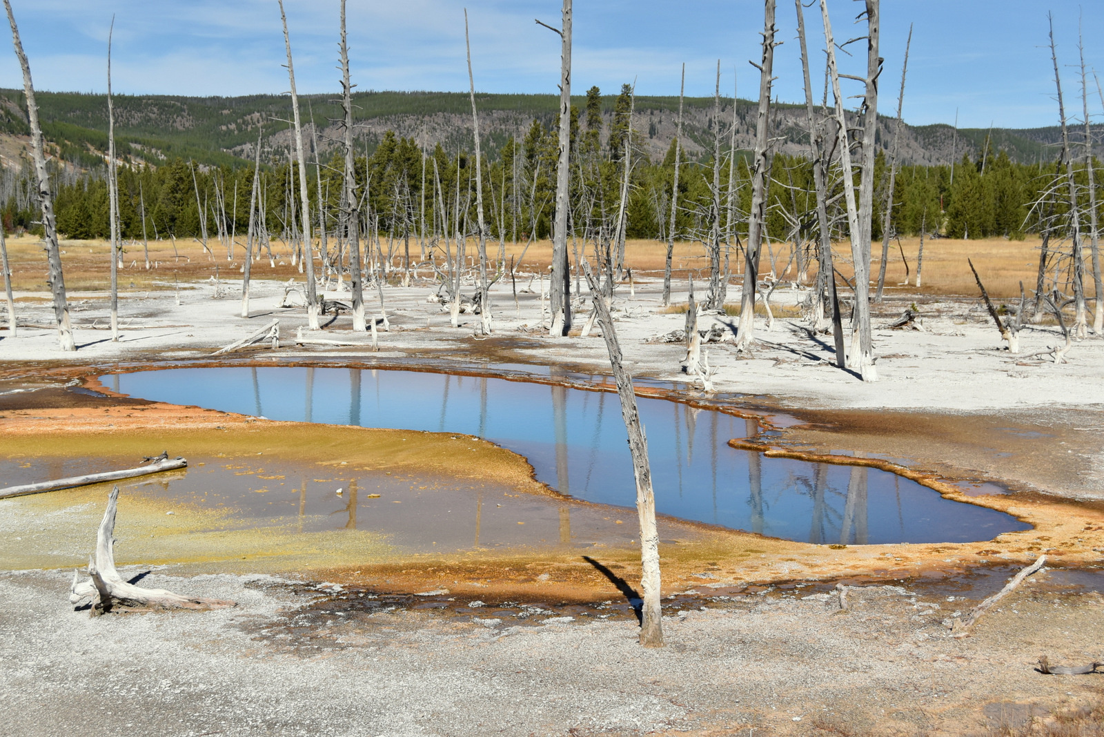 US160926 050 Yellowstone NP, WY