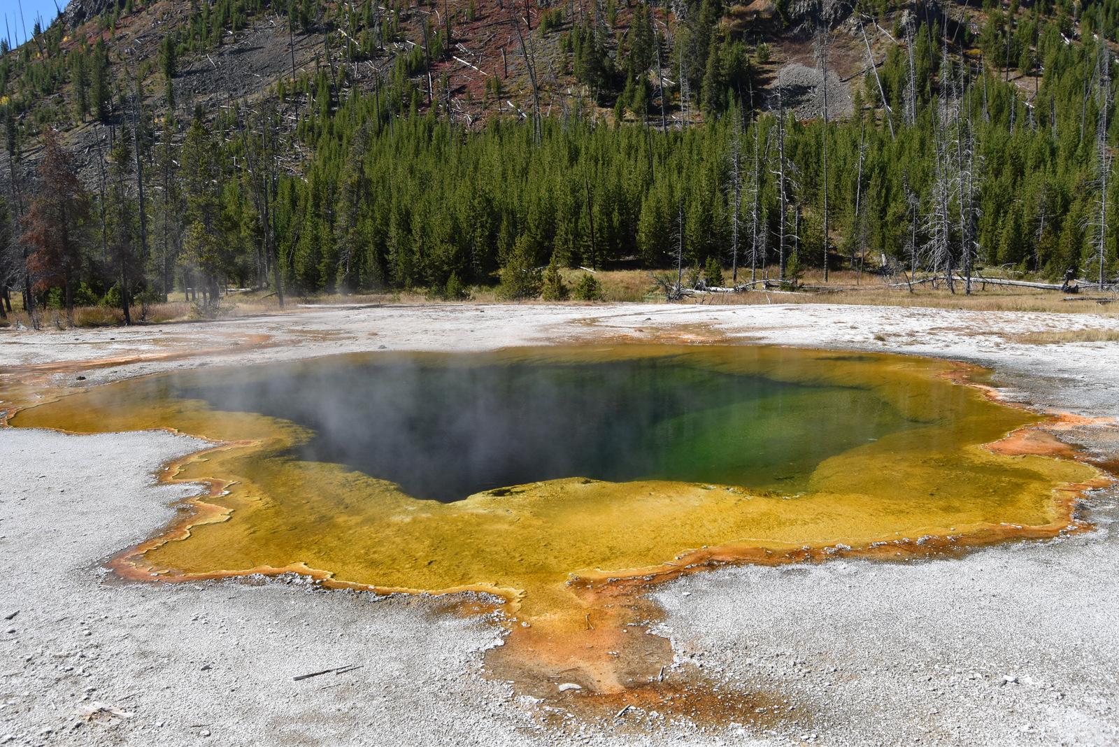 US160926 056 Yellowstone NP, WY