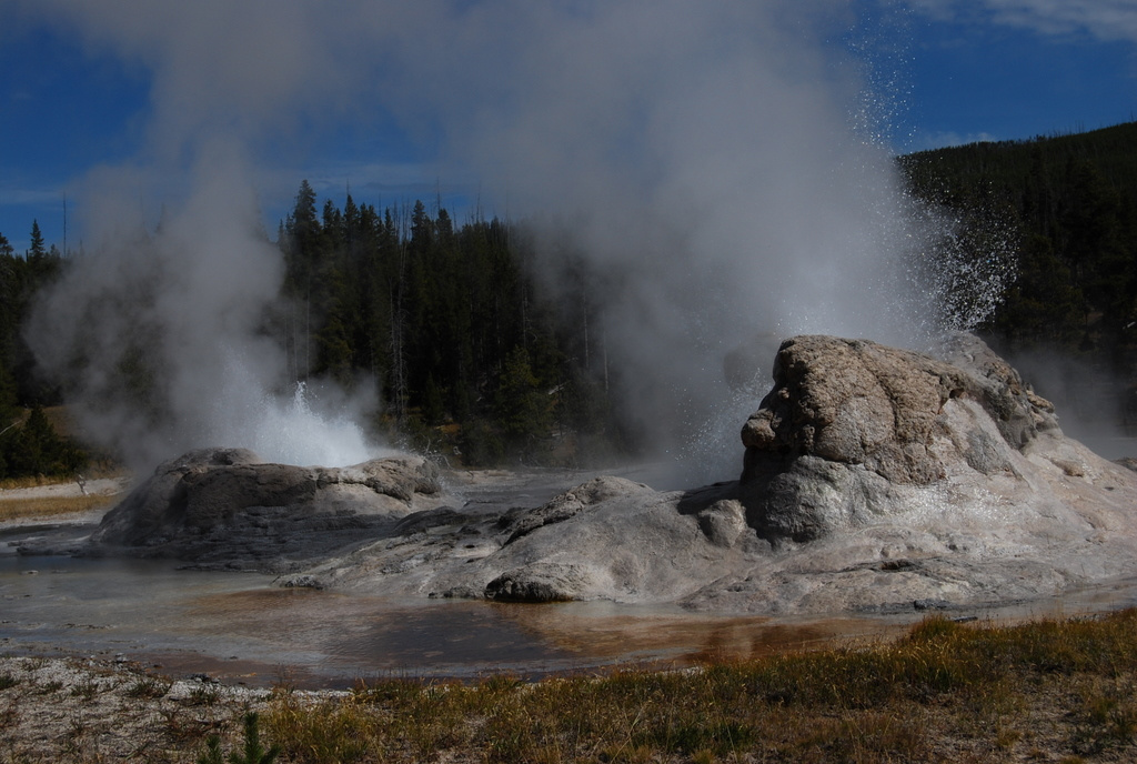 US 2010 Day08  097 Grotto Geyser, Yellowstone NP, WY