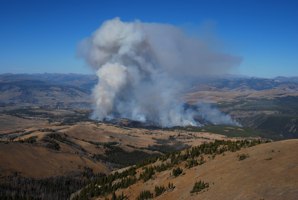 US 2010 Day09  071 Antelope Fire, Yellowstone NP, WY