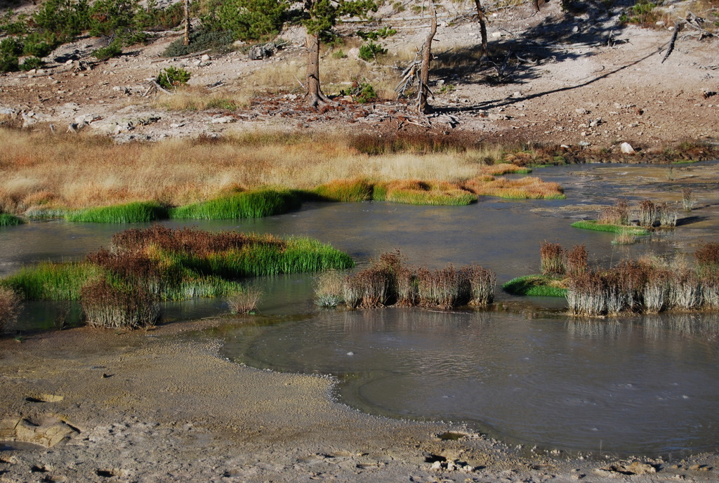 US 2010 Day10  021 Mud Caldron, Yellowstone NP, WY