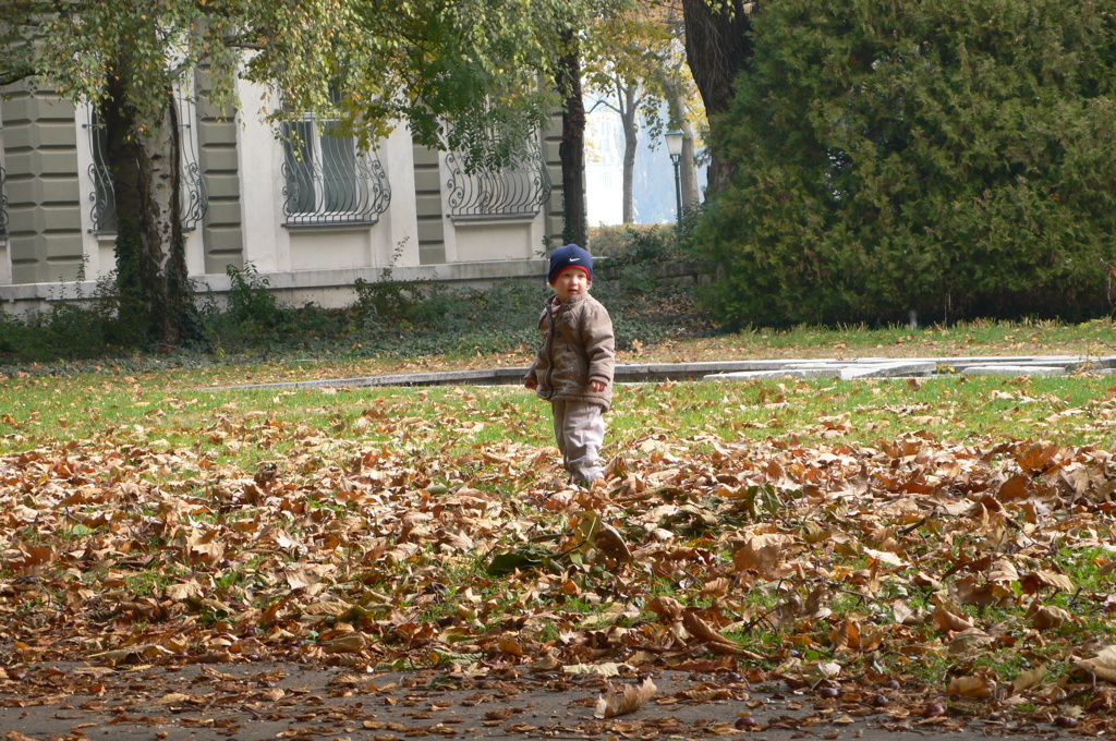 még őszi