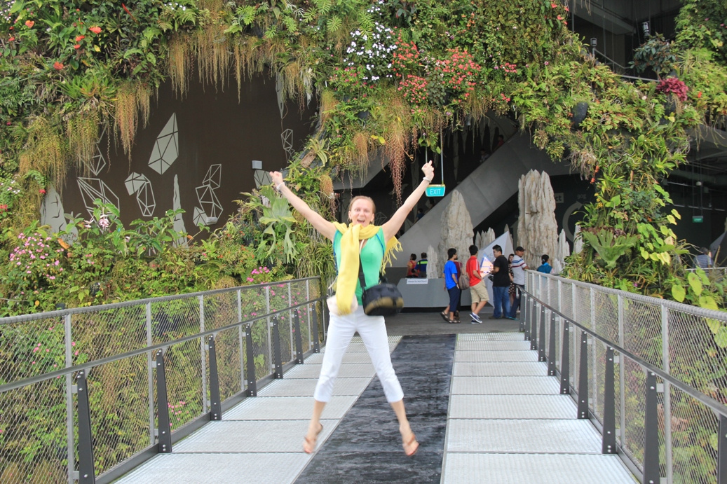 Singapore day3 Gardens by the bay304