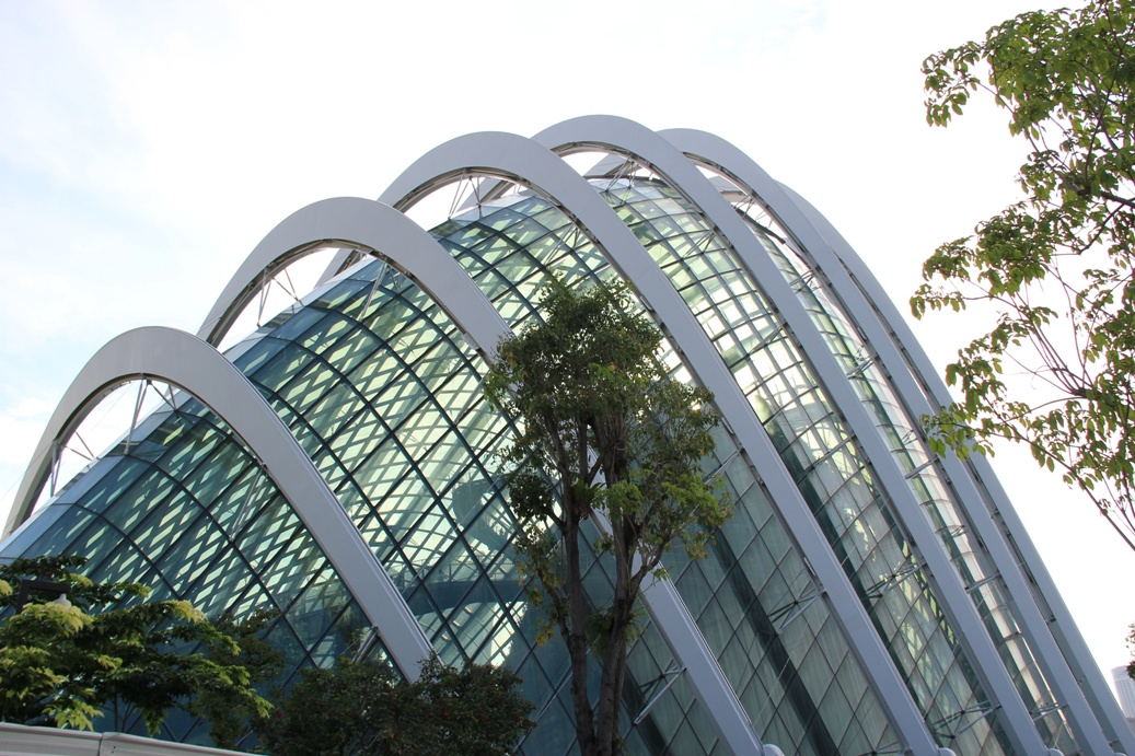 Singapore day3 Gardens by the bay335