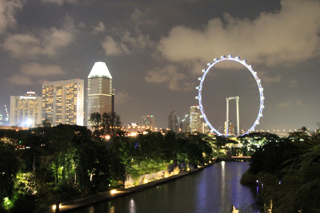 Singapore day3 Gardens by the bay390