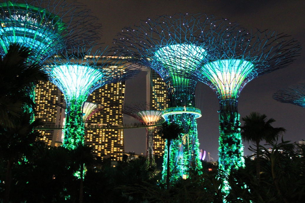 Singapore day3 Gardens by the bay381