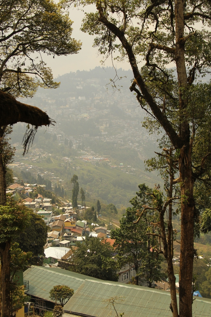 Darjeeling zoologiai park2