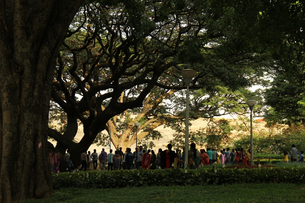 Lal Bagh botanikus kert4