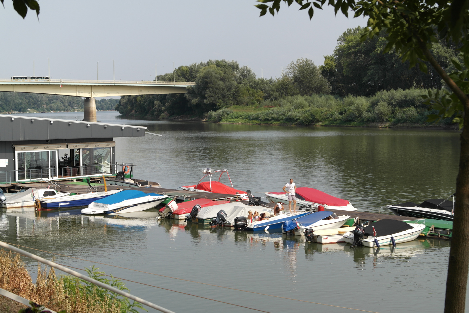 "Tisza" Dokk