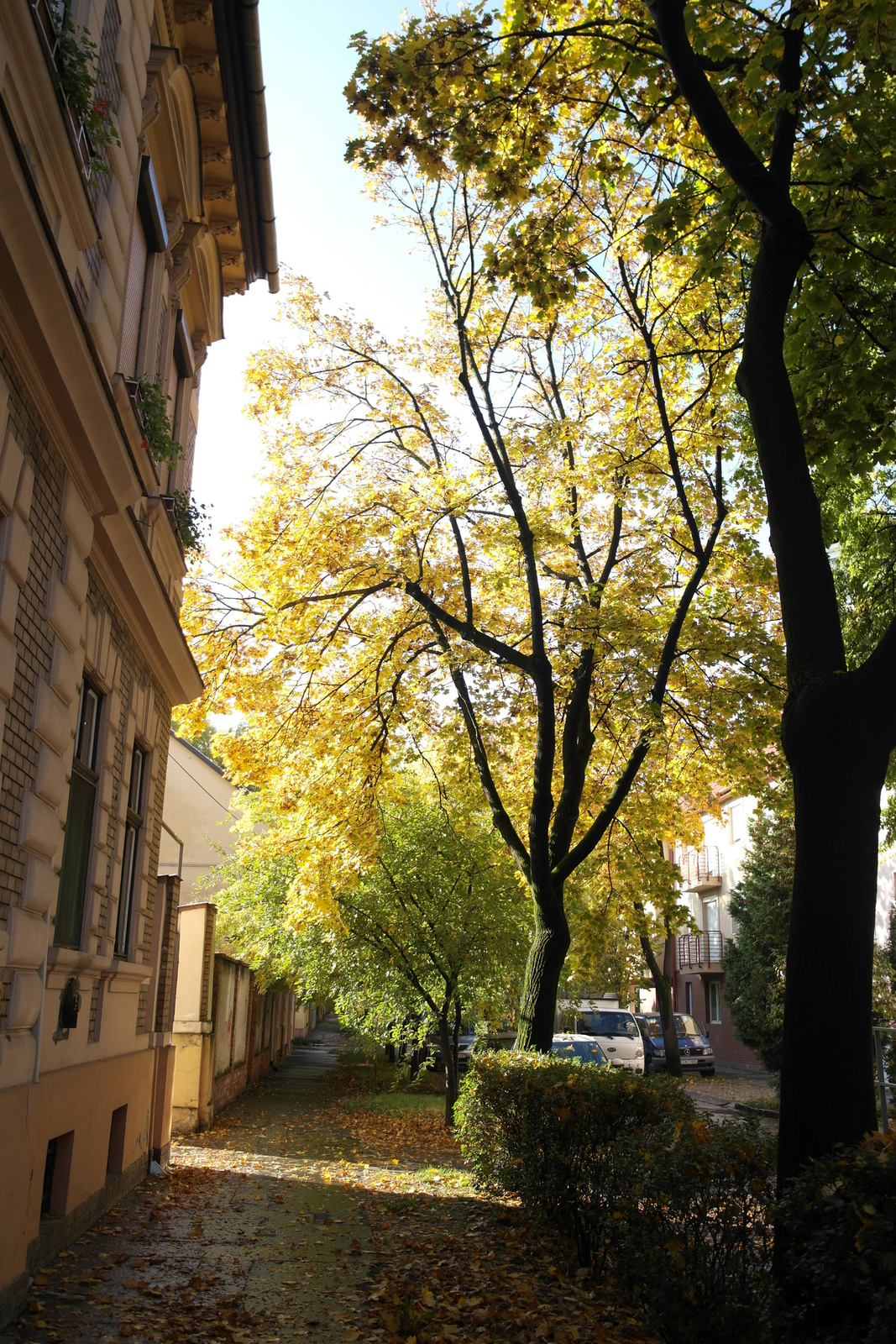 Szegedre beszökött az ősz