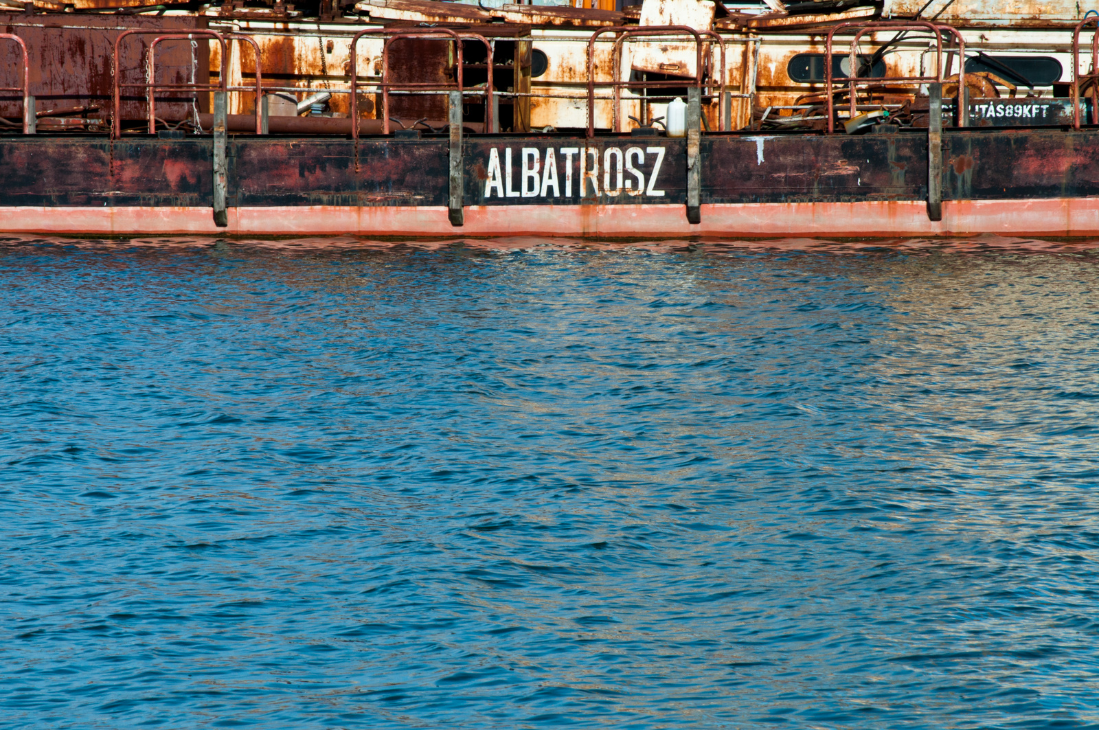 albatrosz