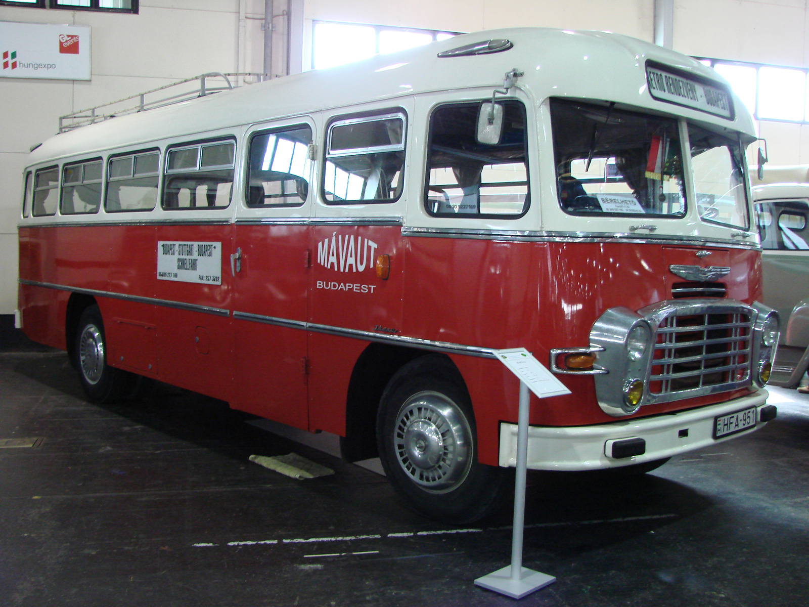 Ikarus 31