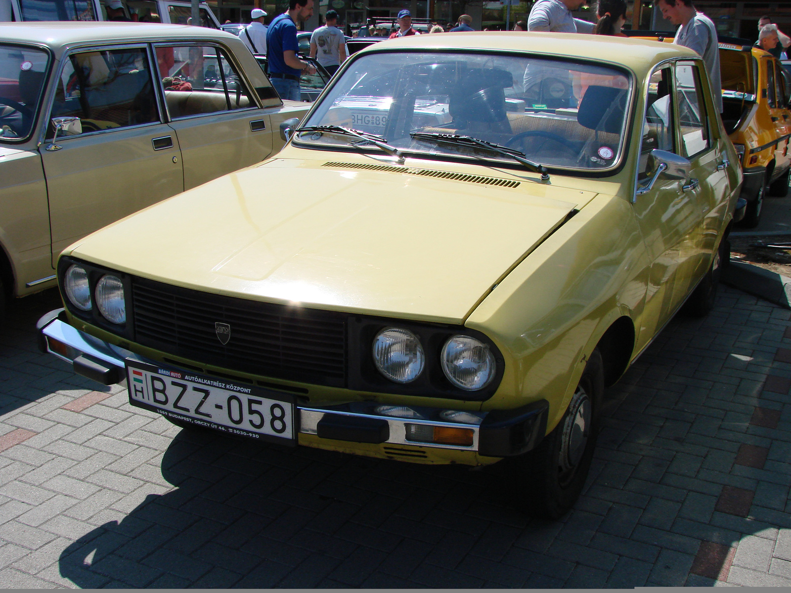 Dacia 1310