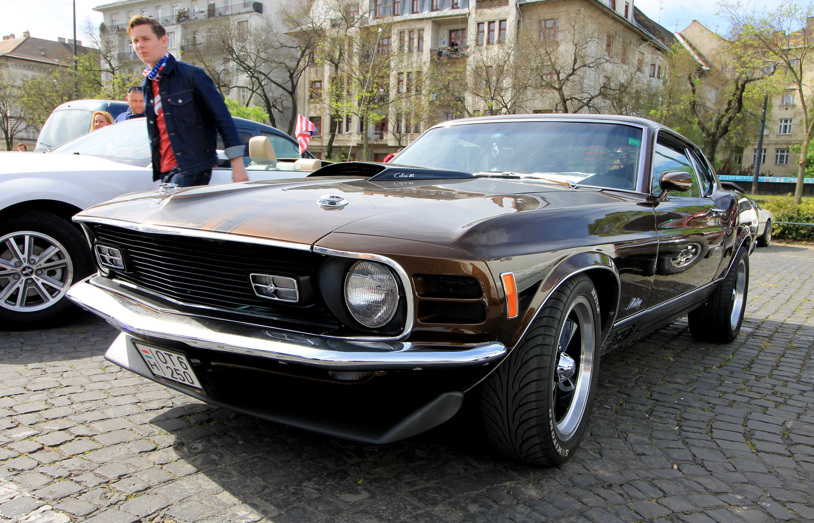 Ford Mustang Mach 1