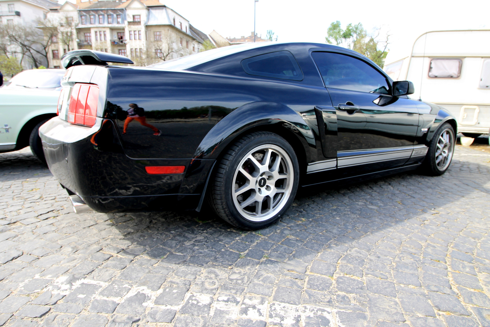 Shelby GT