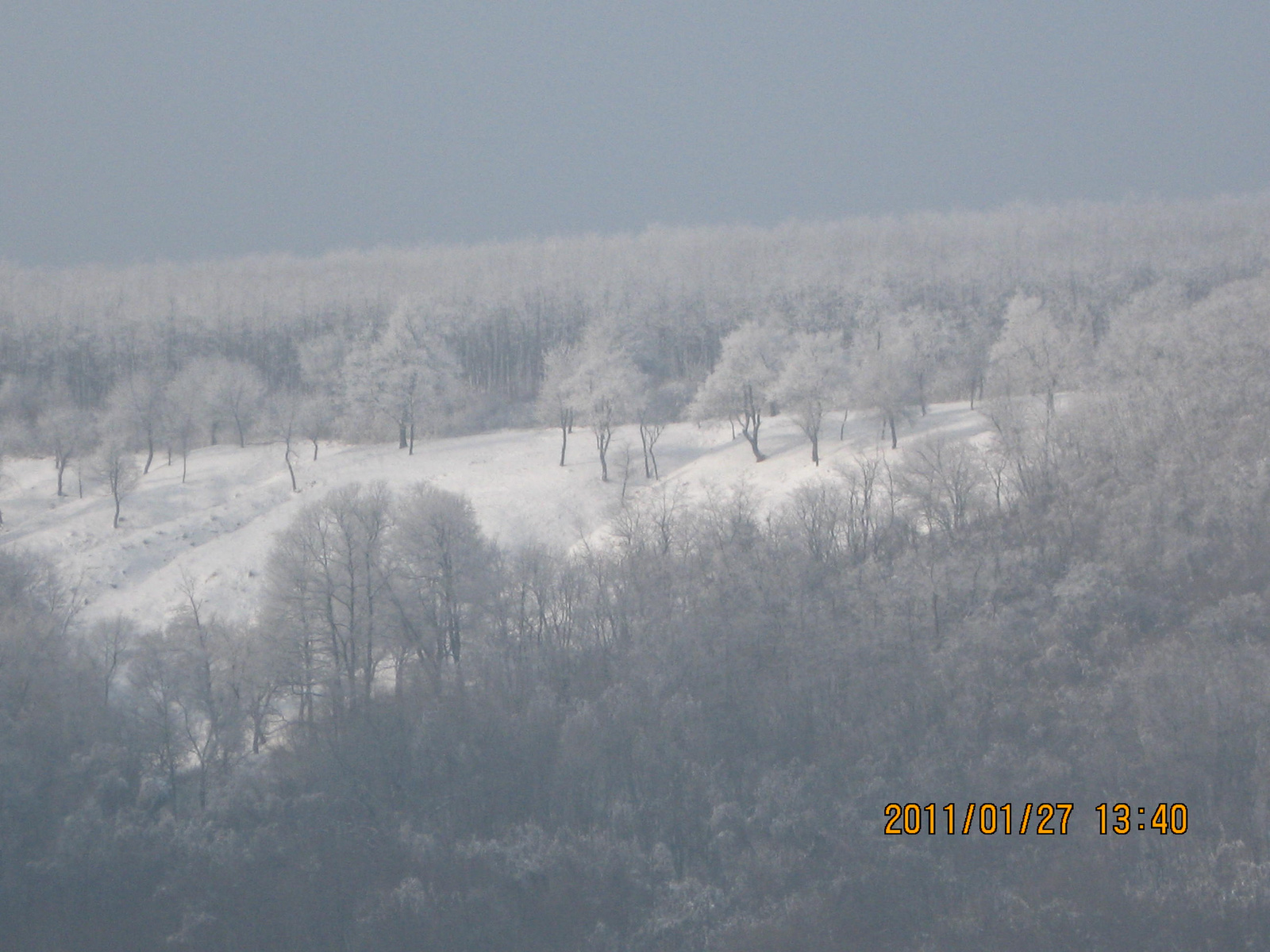 Legénd-Sáp 2011.01.27. 045