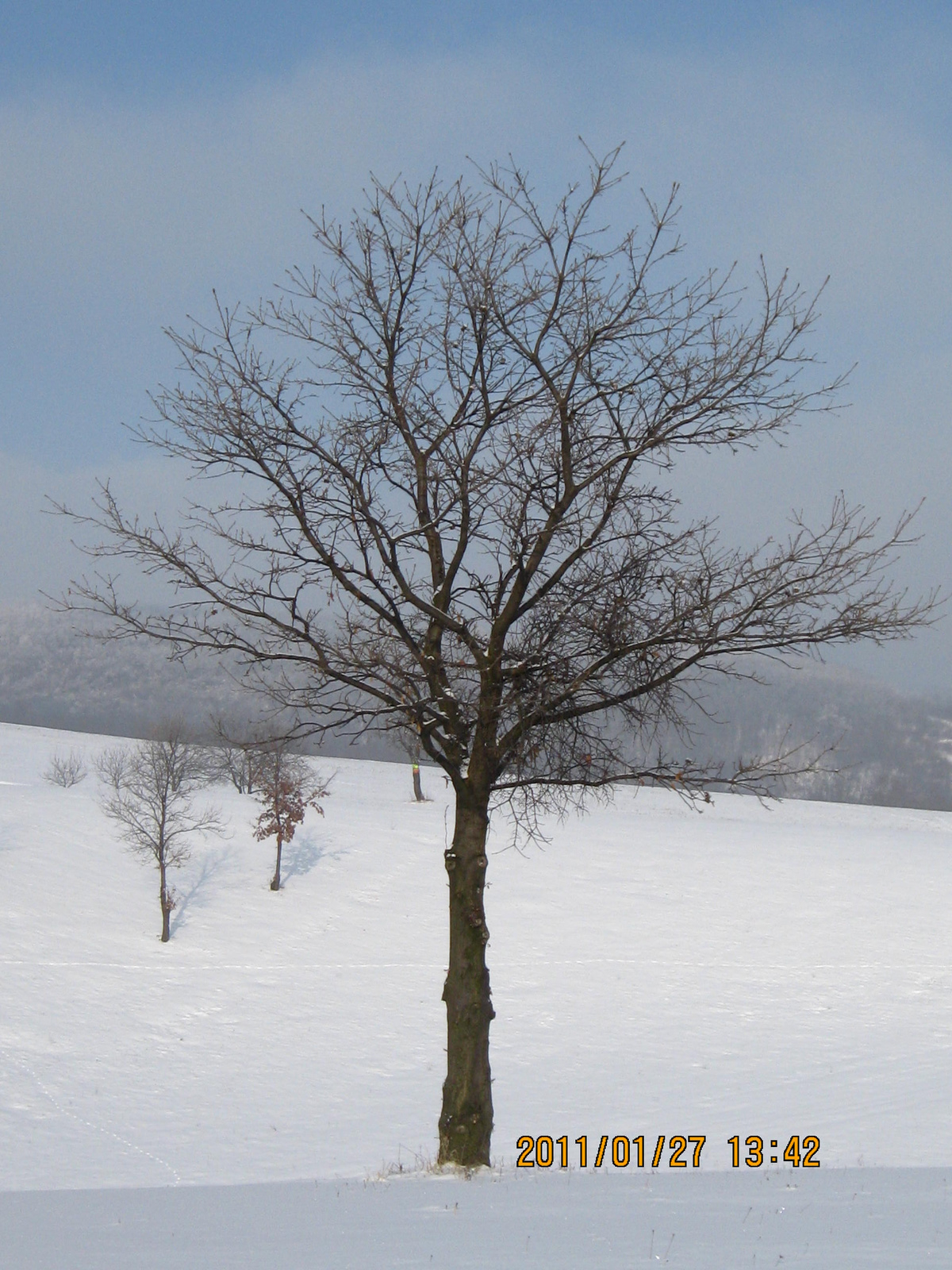 Legénd-Sáp 2011.01.27. 047