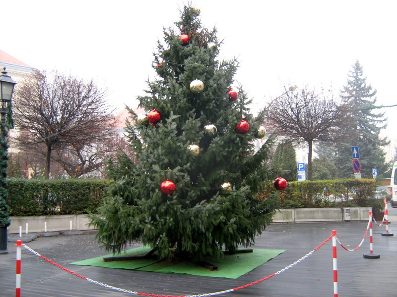 Adventi köztéri karácsonyfa