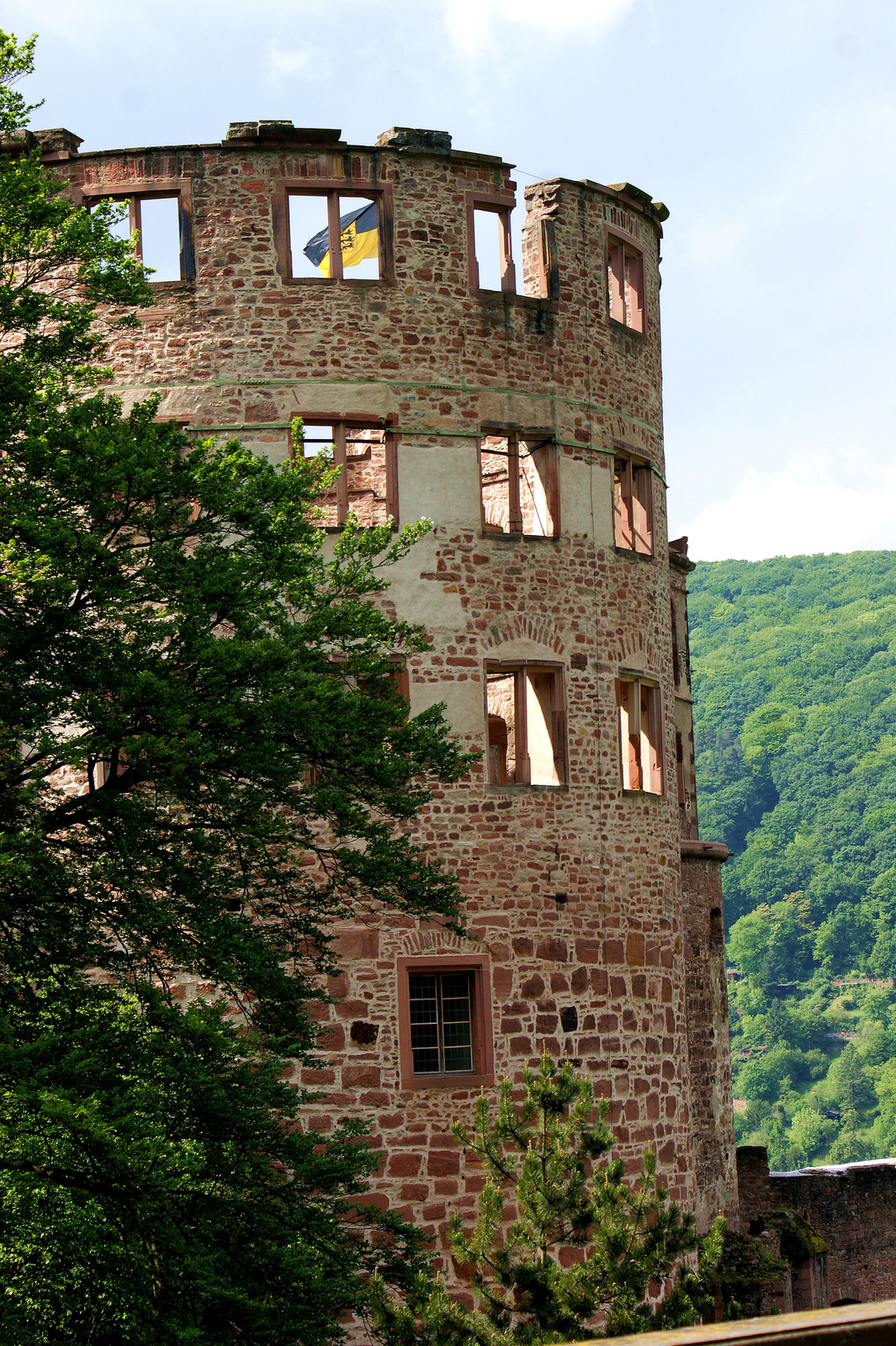 Schloss Heidelberg