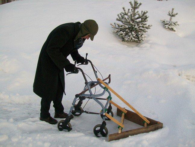 időskori hókotró