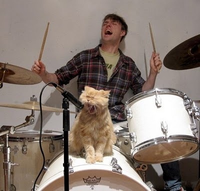 cat-rock