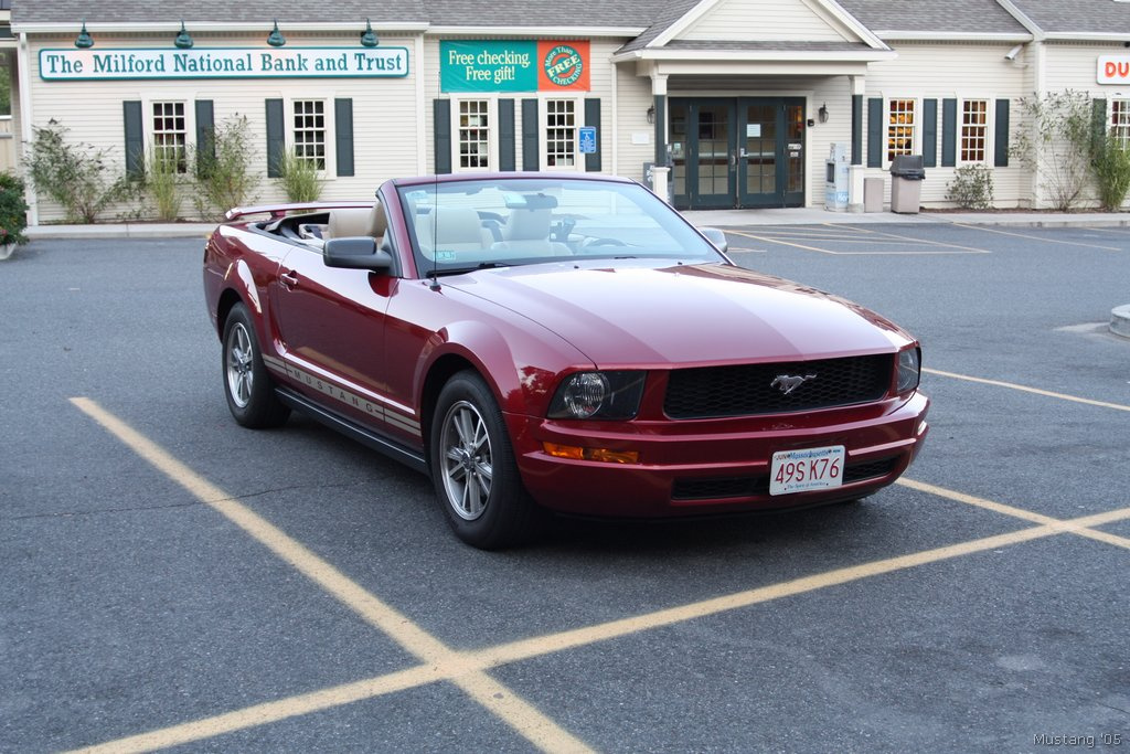 Mustang 02