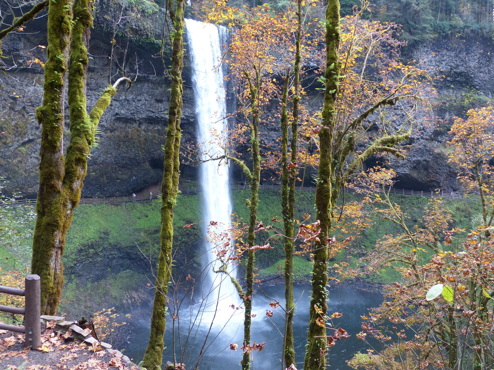 200 Oregon Fall Colors - RV-X3