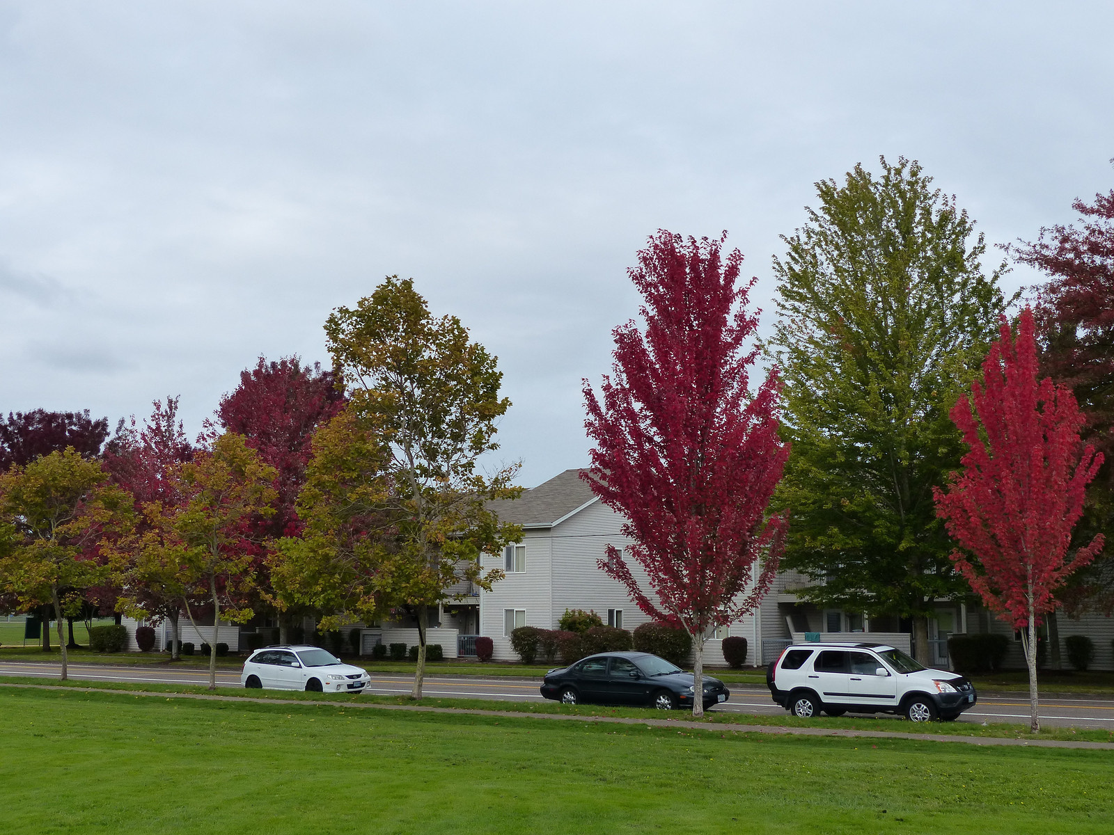 313 Oregon Fall Colors - RV-X3