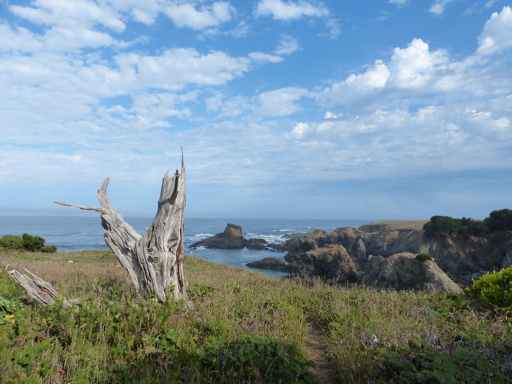 099 Mendocino Coast-XL