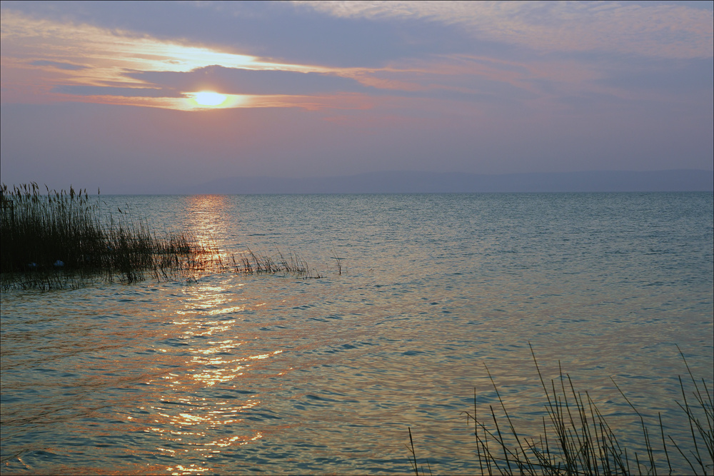 ESTI BALATON