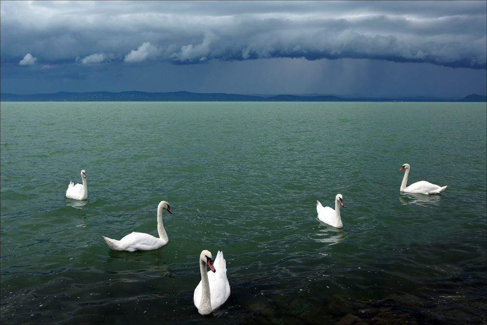 ŐSZI BALATON 3