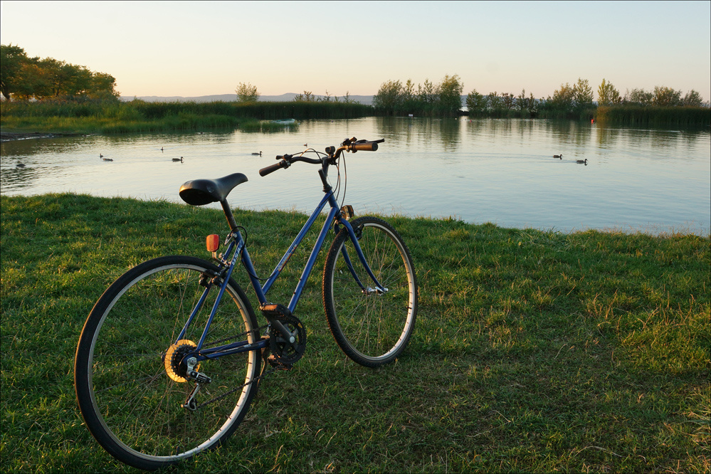 ŐSZI BALATON 14