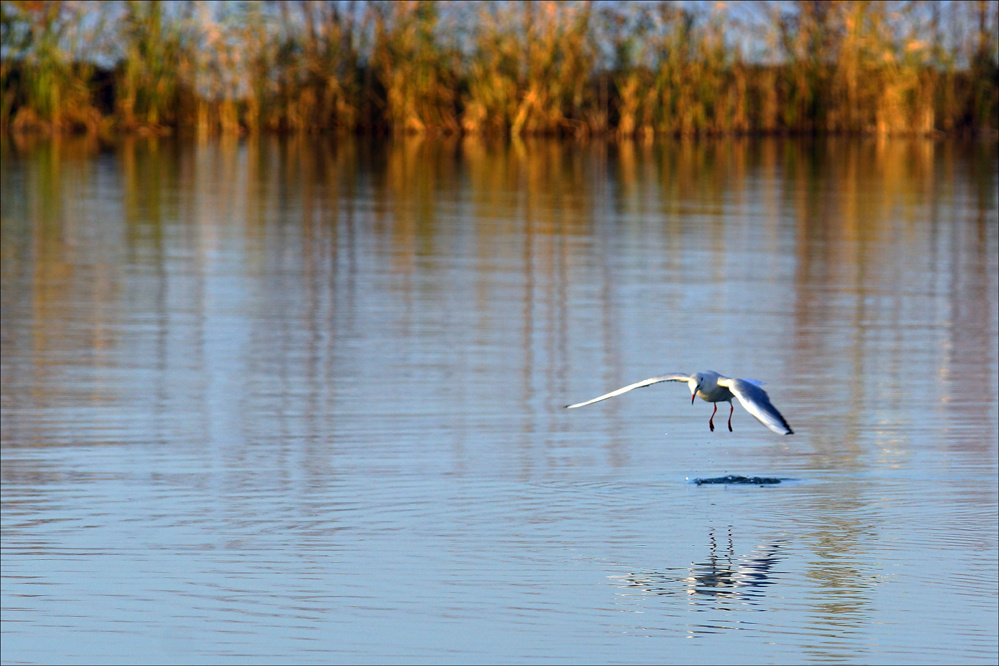 ŐSZI BALATON 21