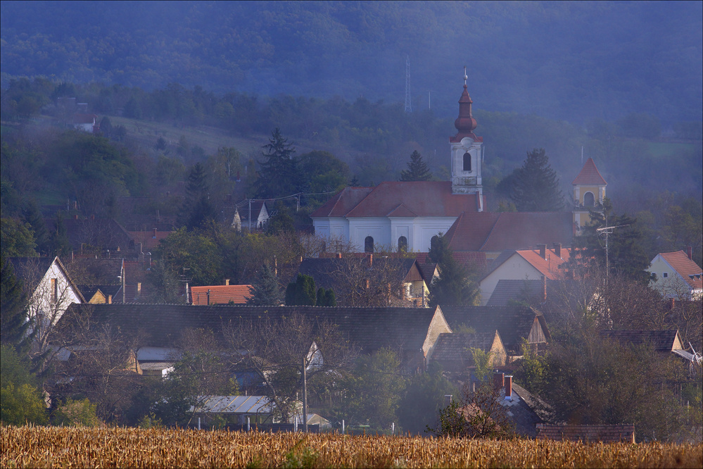 ŐSZI KÉPEK 5