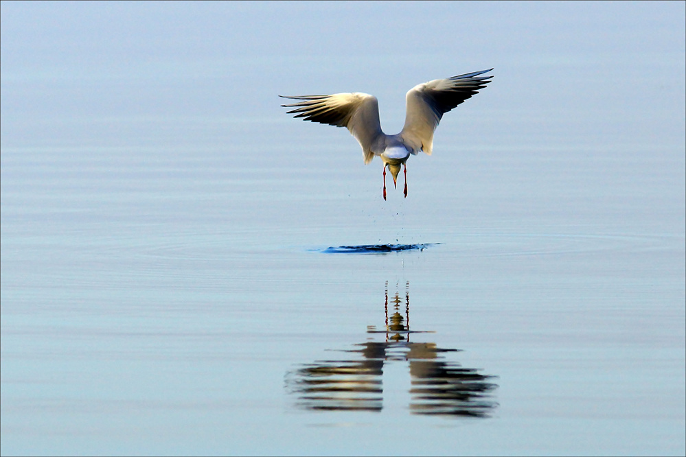 ŐSZI BALATON 31