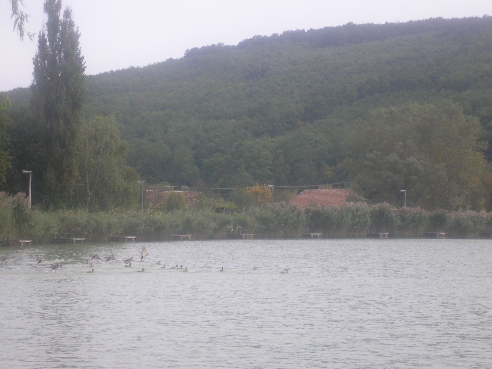 Bánki tó