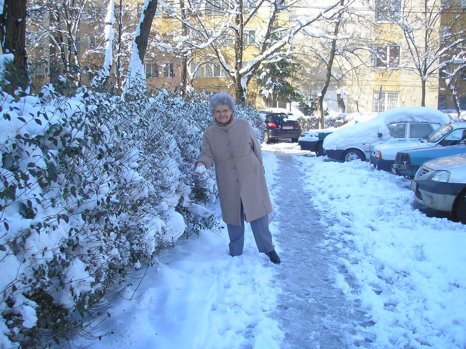 Mancika és a tél 2009